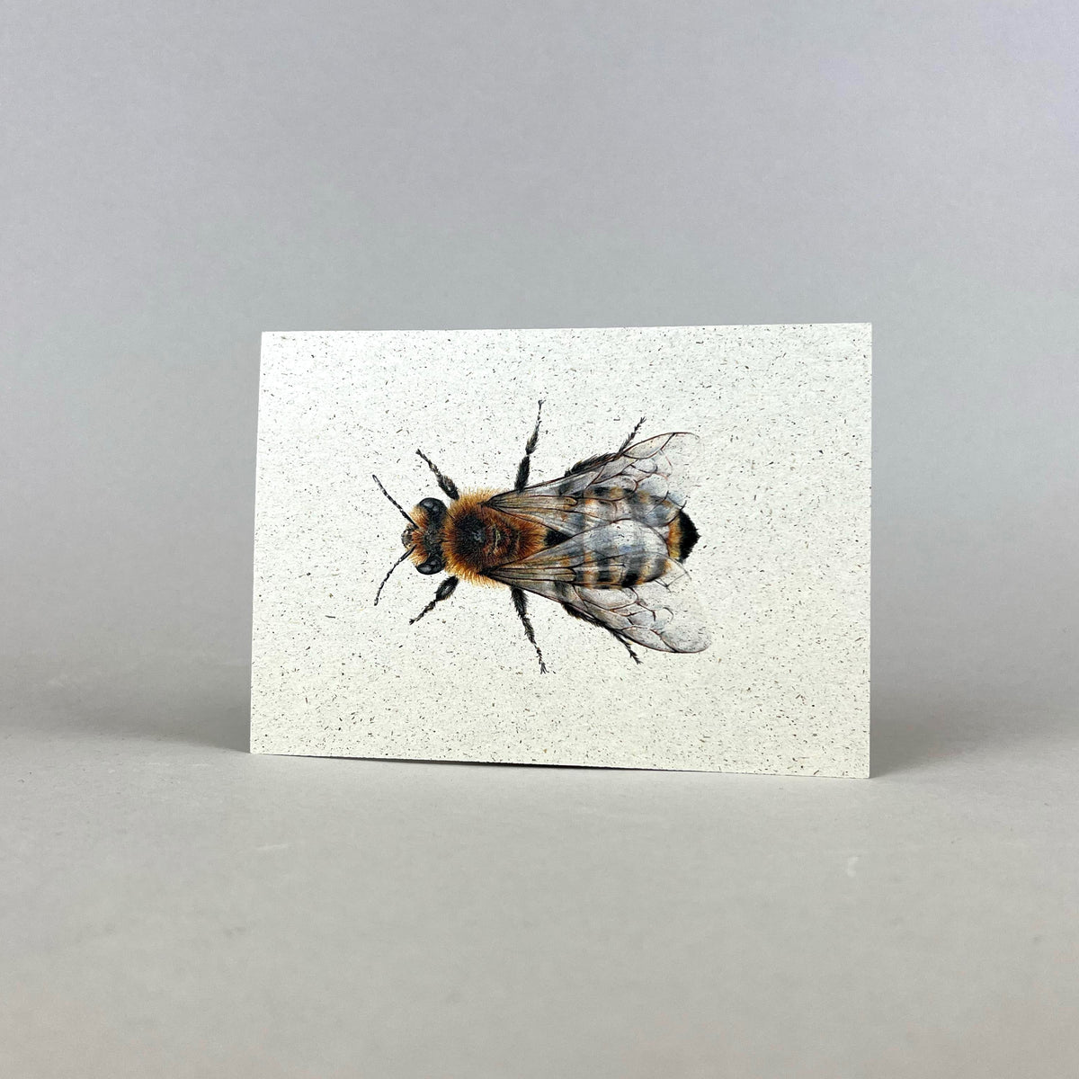 Graspapier Postkarte mit Honigbiene
