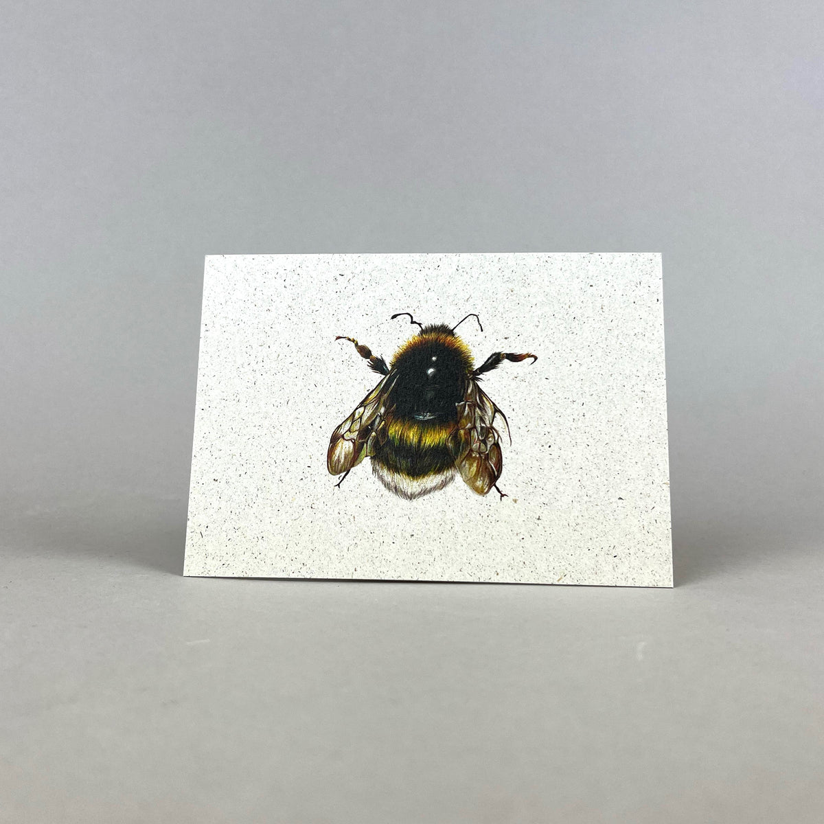 Graspapier Postkarte mit Hummelmotiv Hummel 1