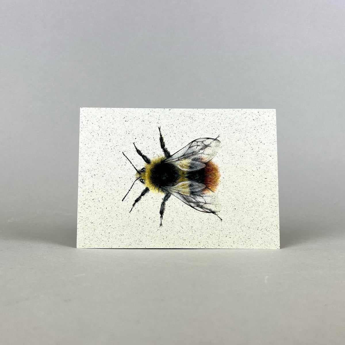 Graspapier Postkarte mit Hummelmotiv Hummel 2