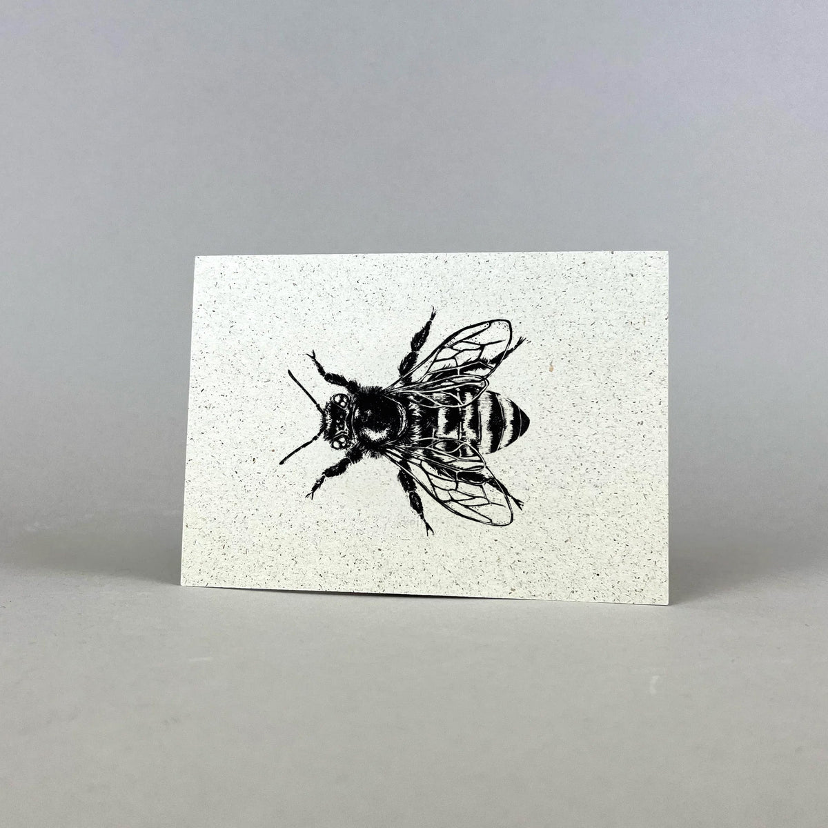 Graspapier Postkarte Honigbiene in schwarz 