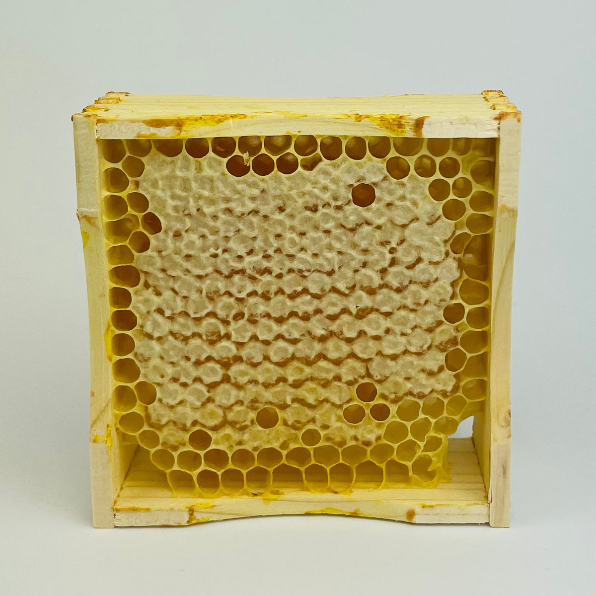 Wabenhonig mit Holzrähmchen Quadratisch